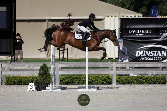 🏡 Competition Confidence – Week 1