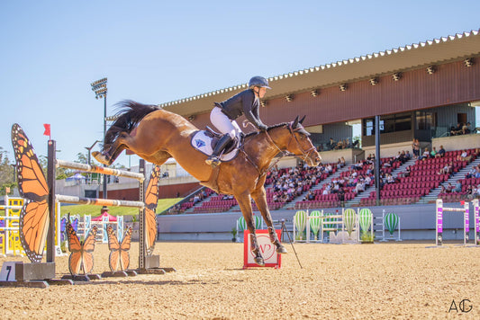 📝 Competition Confidence – Week 4 - THE FINAL