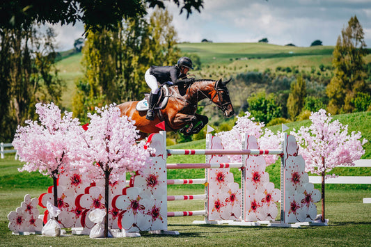 Taking the Reins: A New Chapter at Dutailis Saddlery