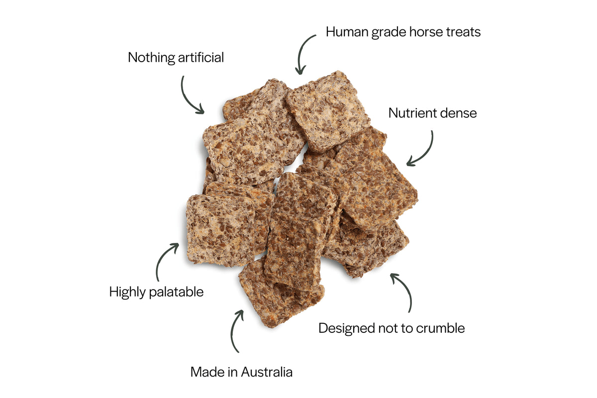 CURAHORSE NOTHING NAUGHTY HORSE TREATS 500G
