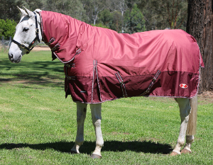 Explorer 200 Winter Combo Rug – 600D Waterproof | 200g Polyfill Midweight Rug