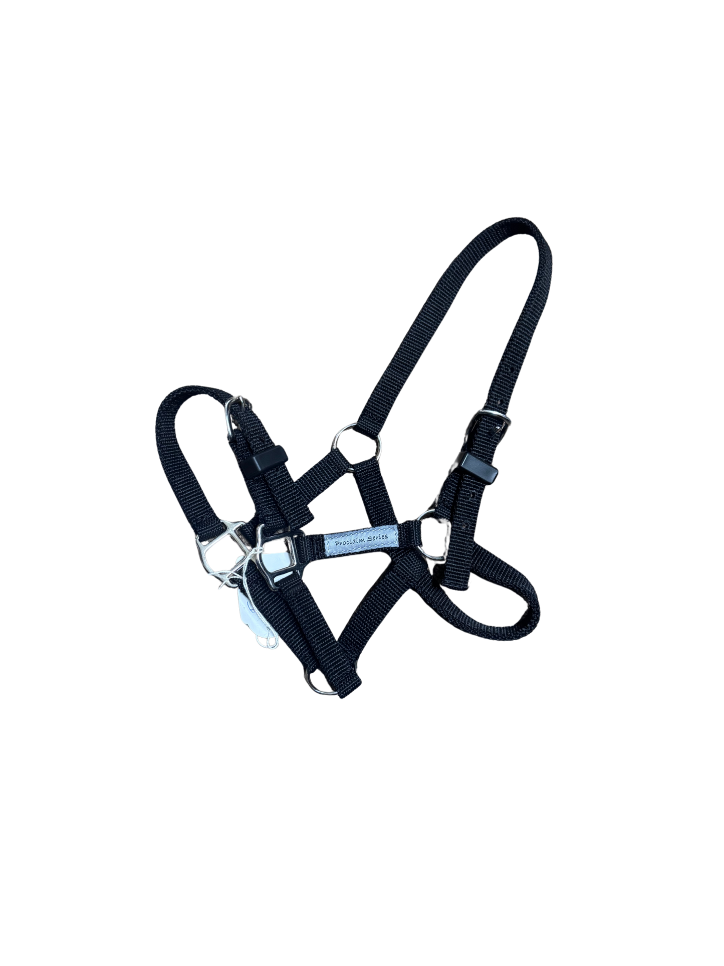 Proclaim Foal Halter – Durable Webbing Halter for Foals