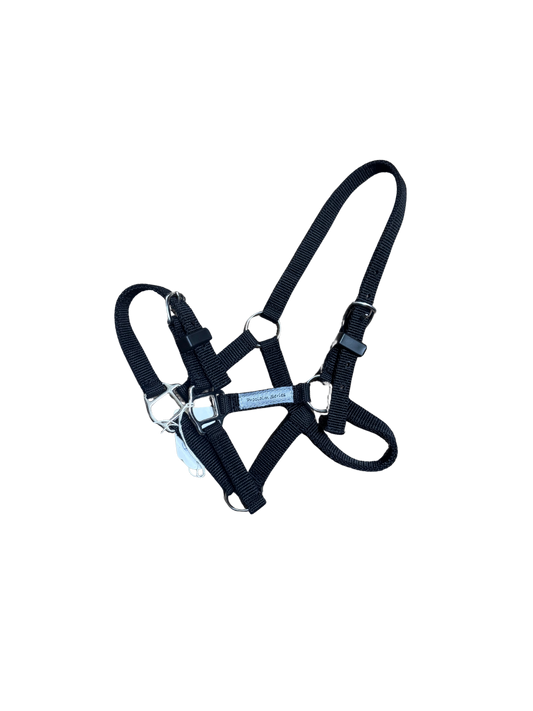 Proclaim Foal Halter – Durable Webbing Halter for Foals