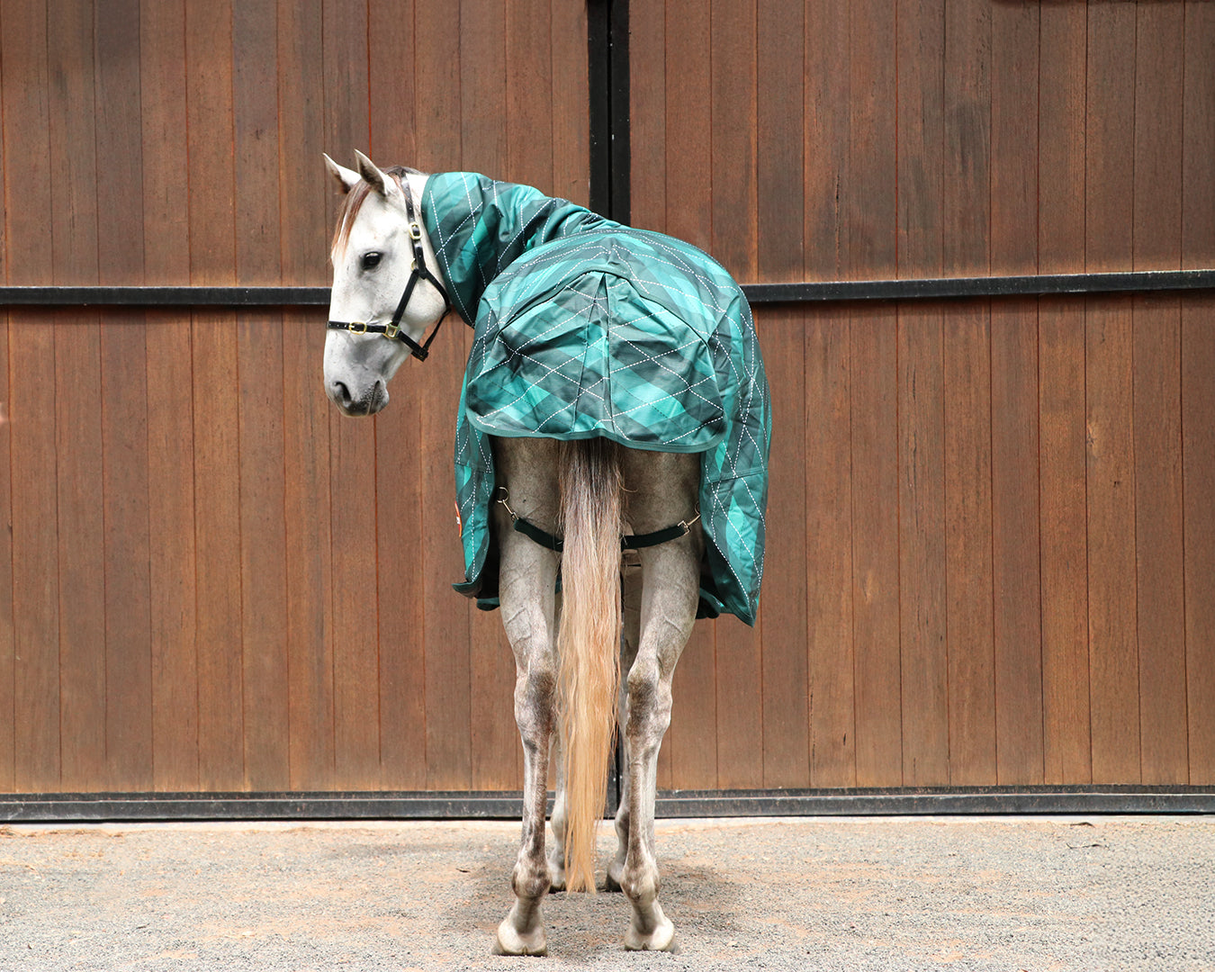 Kozy 1200D 200G Fill Detach-A-Neck Nylon Combo