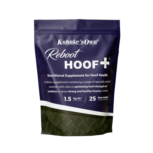 Reboot HOOF +