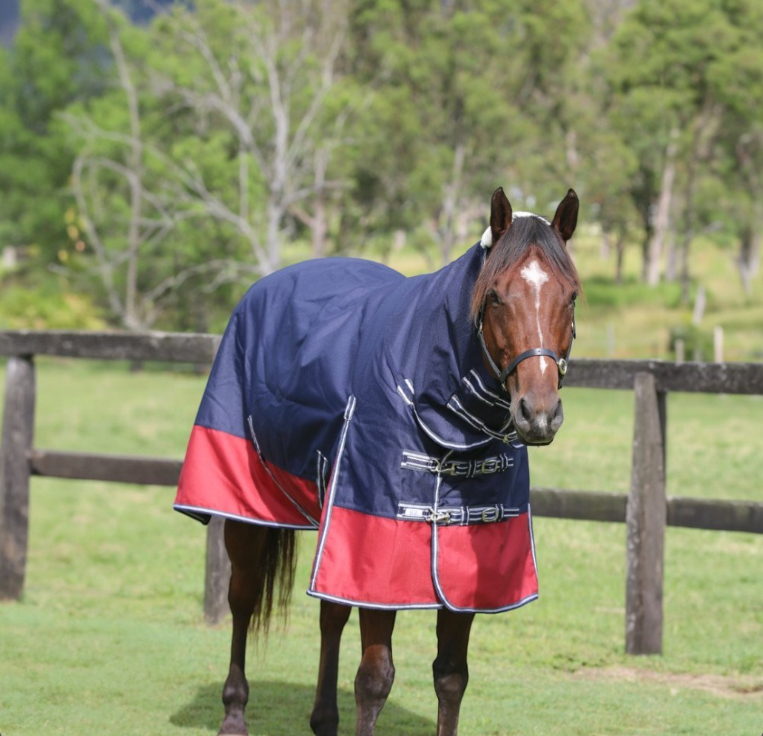 Kozy 1200D 100G Fill Queenslander Rug Combo