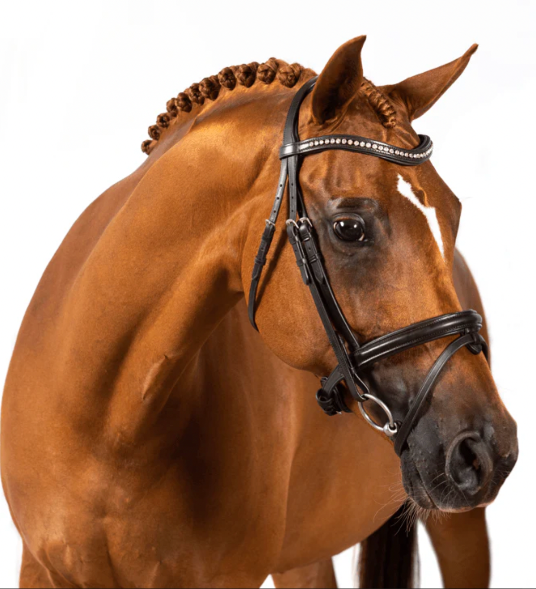 Premium Havana Snaffle Bridle 'Riley'
