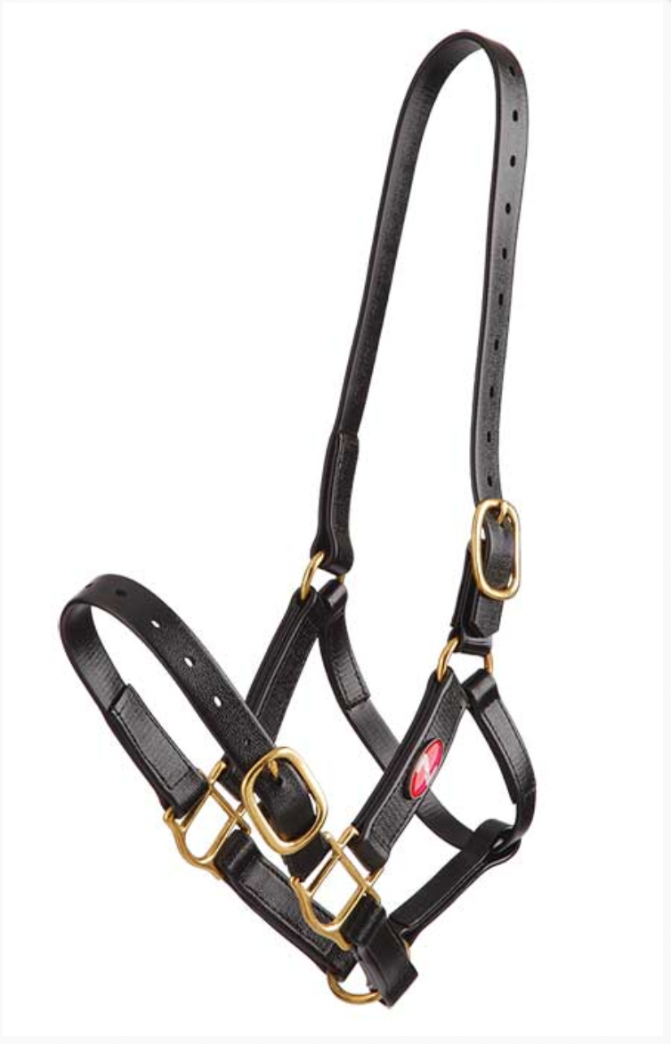 Zilco 25mm PN Halter - Full