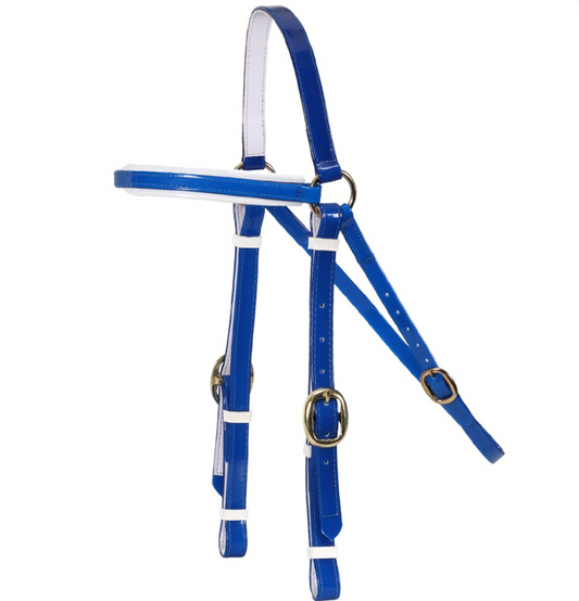Horse Sense Barcoo Bridle Head - Brass Fittings -BLUE PONY