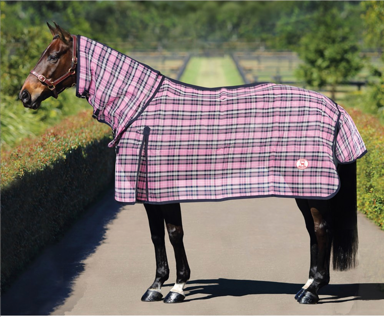 Kool Master PVC Shade Mesh Combo - Pink/Navy