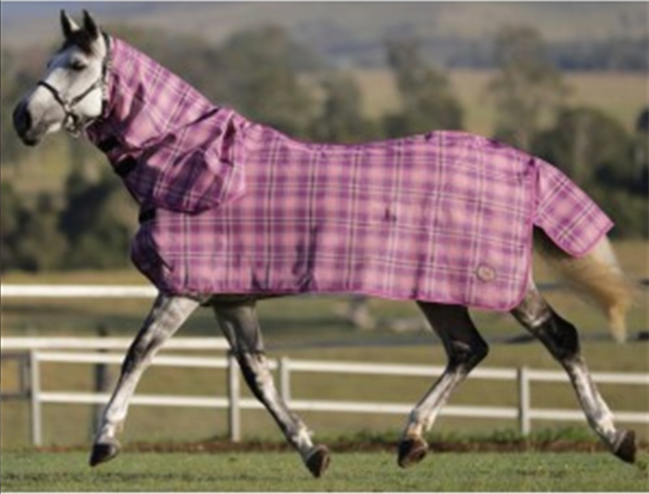 Kool Master PVC Shade Mesh Combo - Pink/Purple