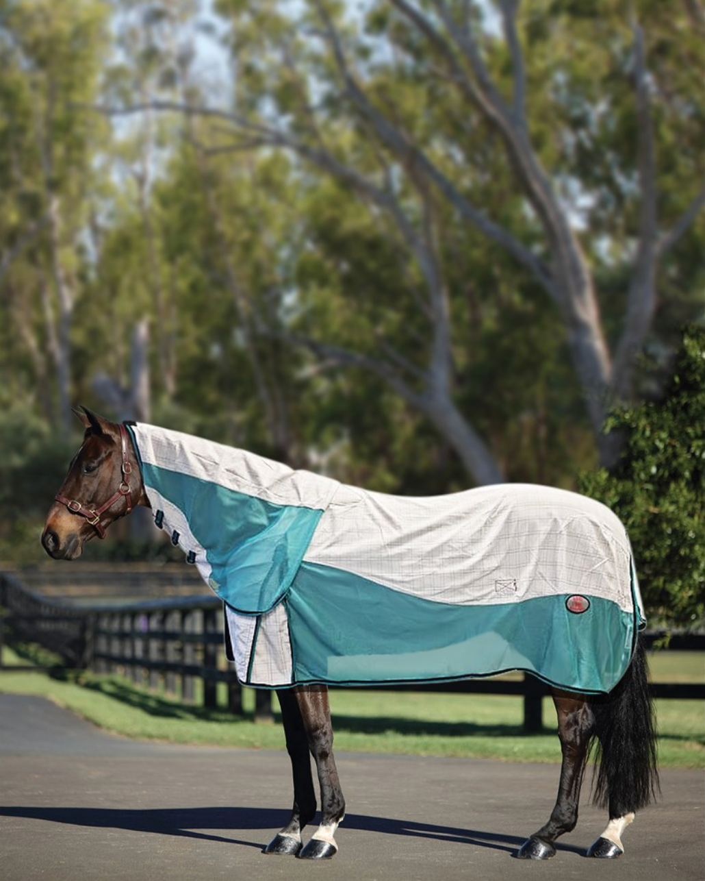 Kool Master Air Max Combo - White/Turquoise