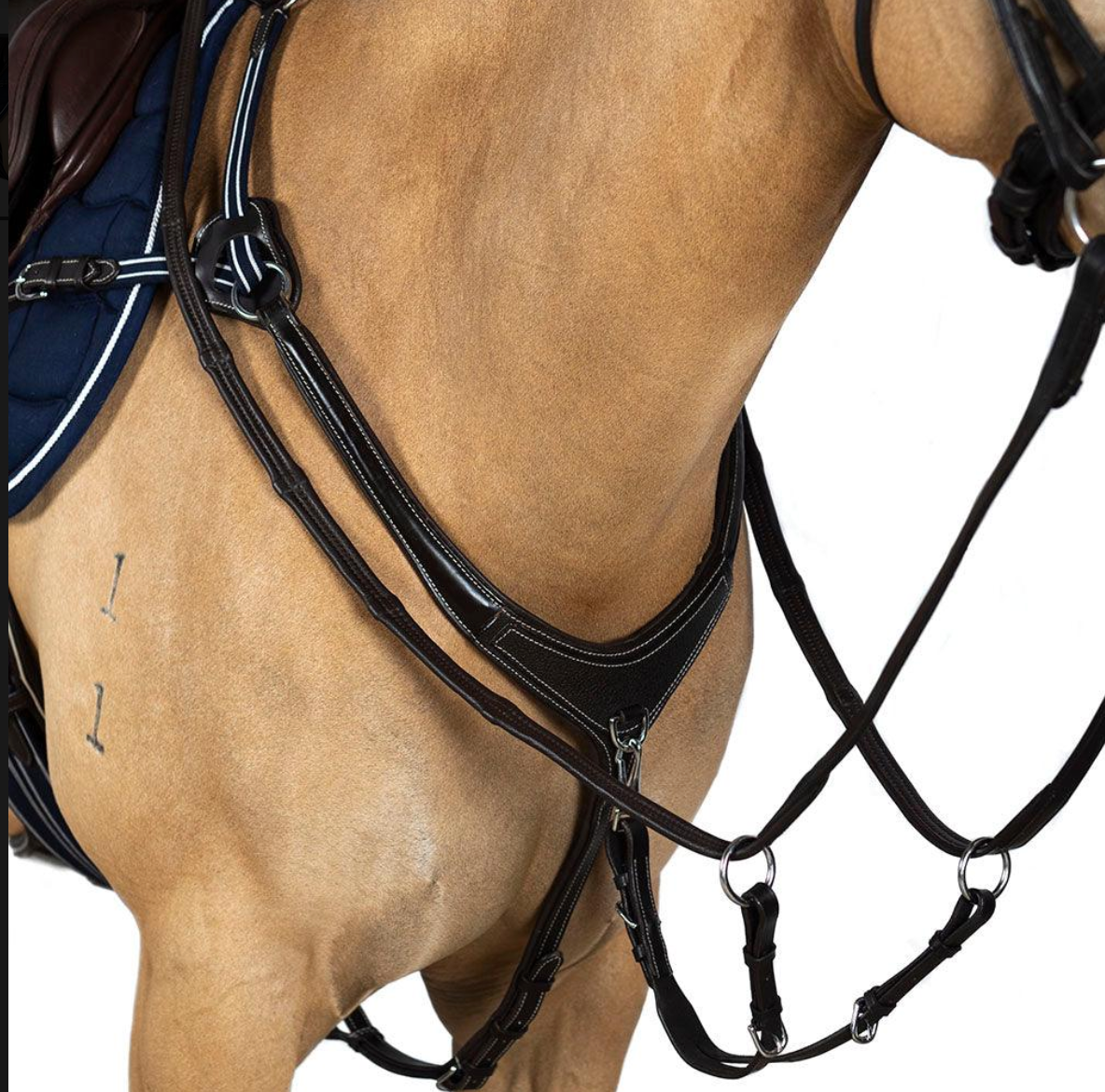 AR 5 Point Leather Breastplates - Black