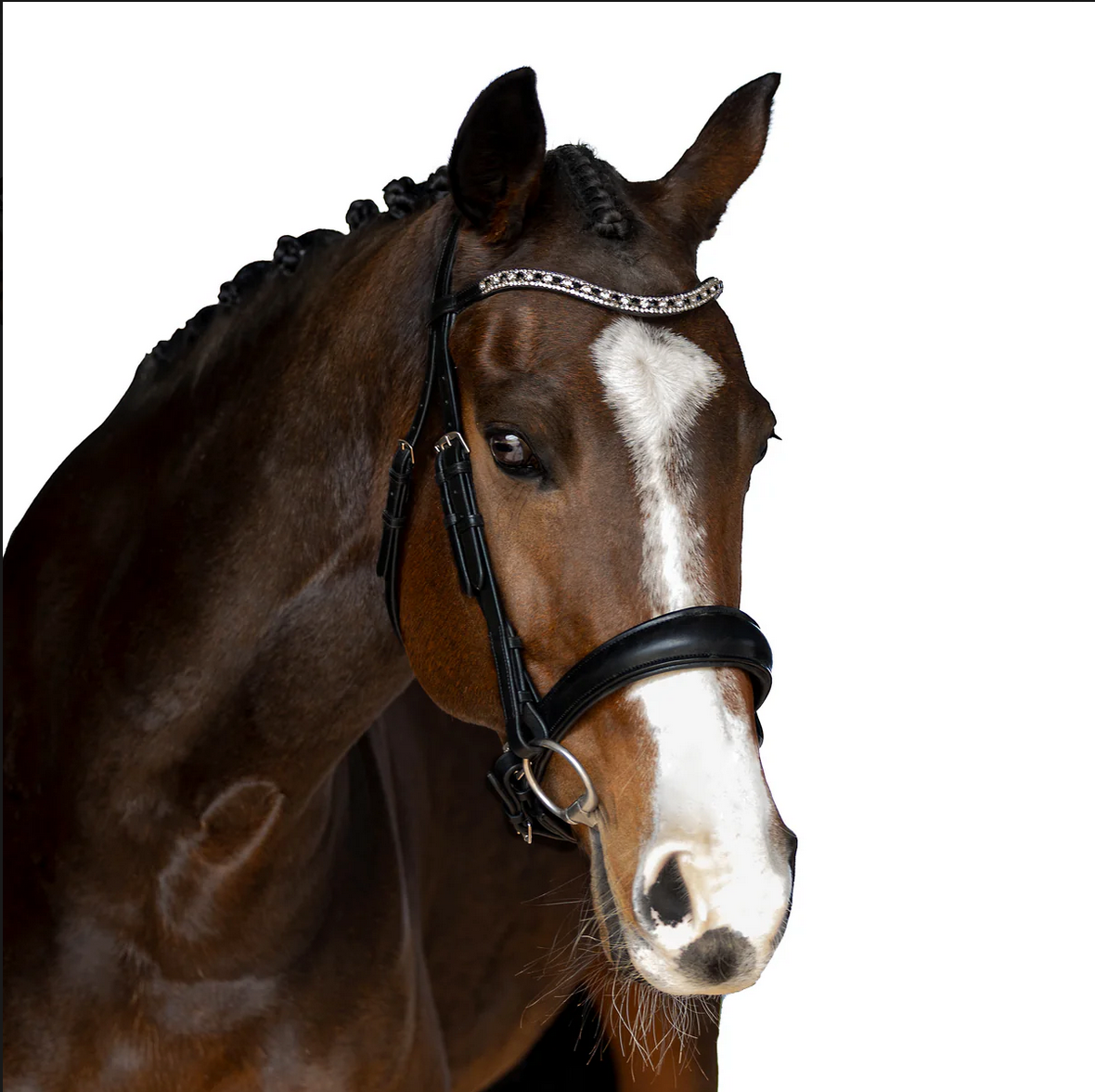 Premium Black Snaffle Bridle 'Cadence'