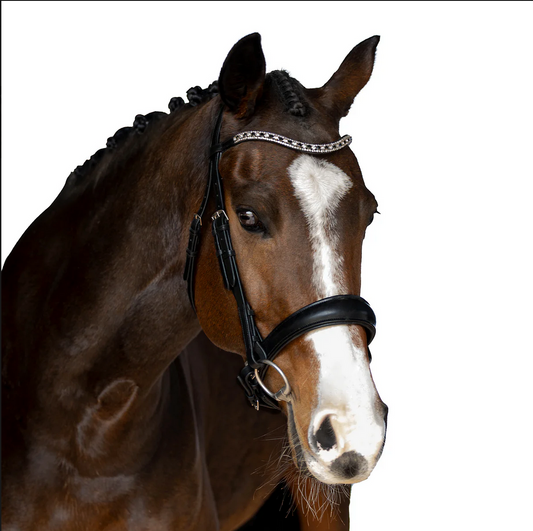 Premium Black Snaffle Bridle 'Cadence'