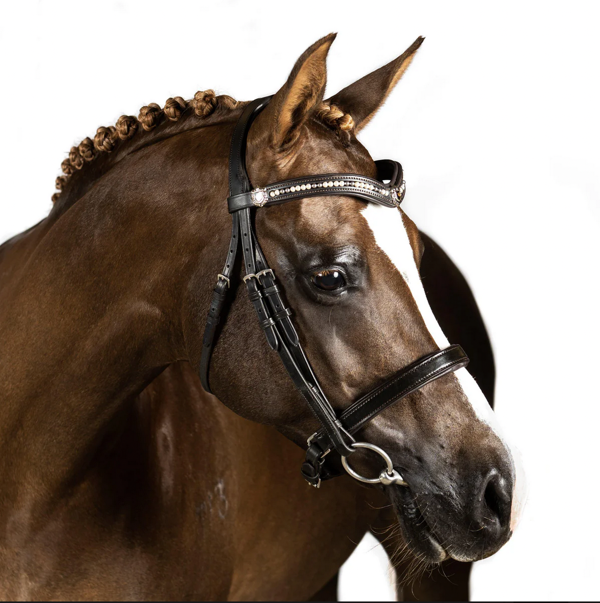 Premium Havana Snaffle Bridle 'Triton'