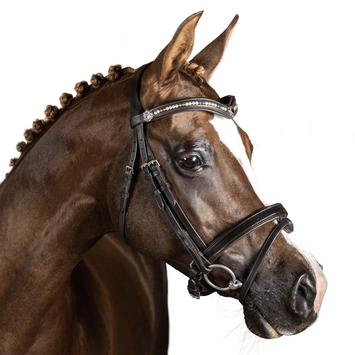 Premium Havana Snaffle Bridle 'Triton'