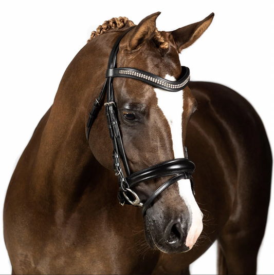 Black Snaffle Bridle 'Paradise'