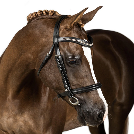 Black Snaffle Bridle 'Vortex'