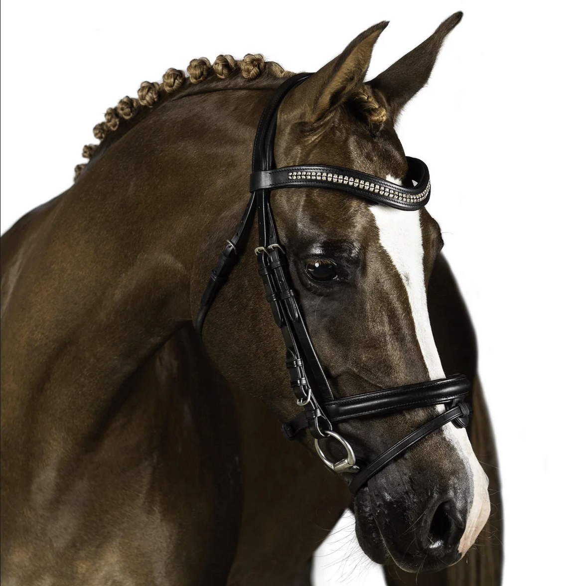 Black Snaffle Bridle 'Vortex'