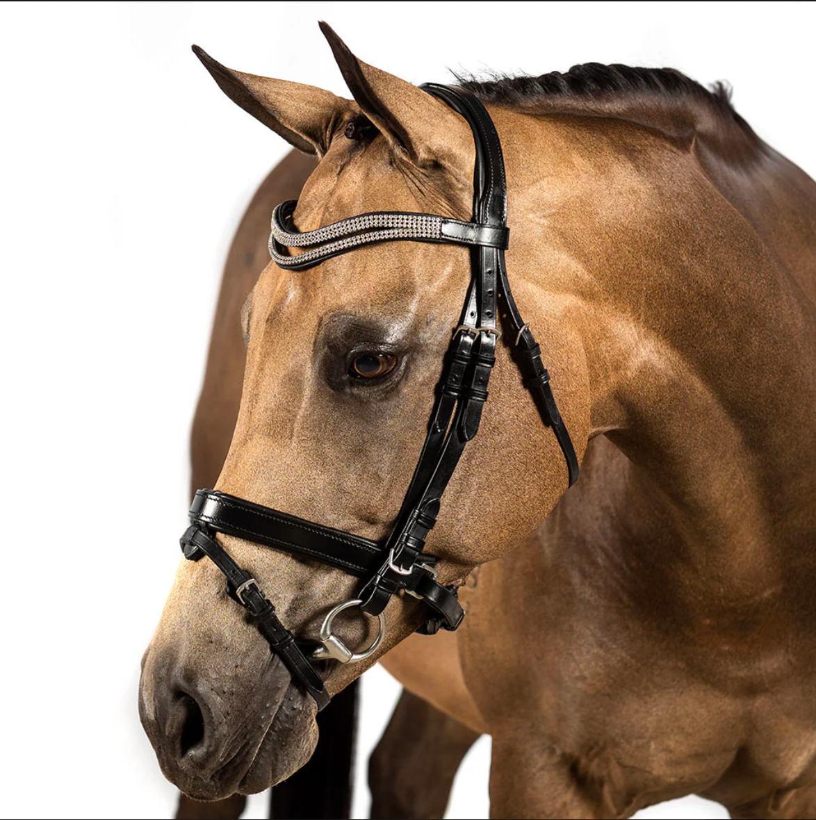 Black Snaffle Bridle 'Gossamer'