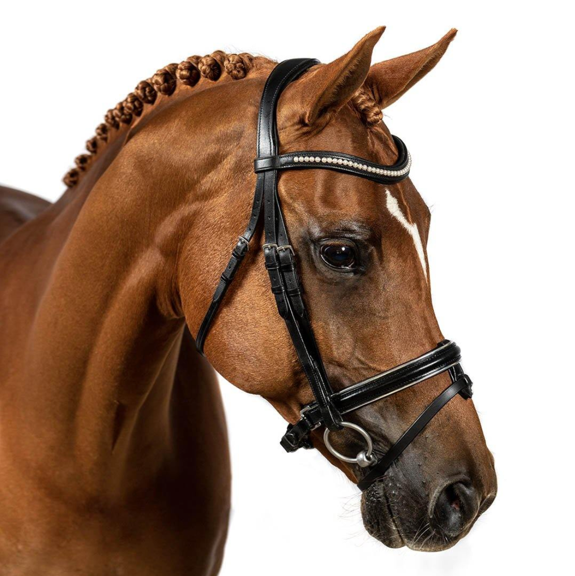 Premium Black Snaffle Bridle 'Symphony'