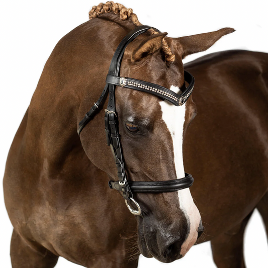 Black Snaffle Bridle 'Spellbound'