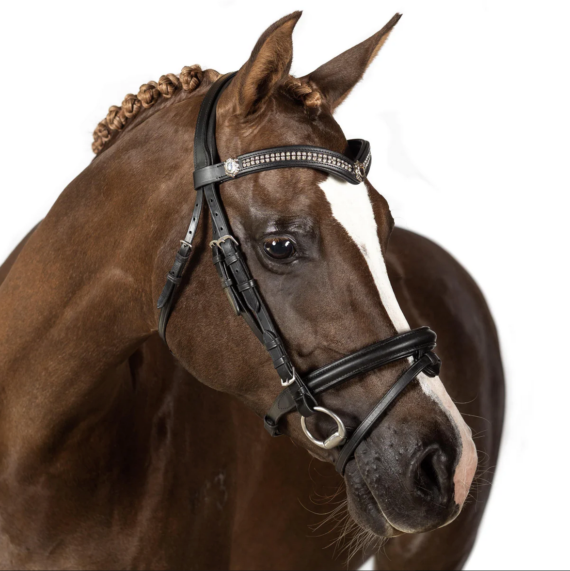 Black Snaffle Bridle 'Spellbound'