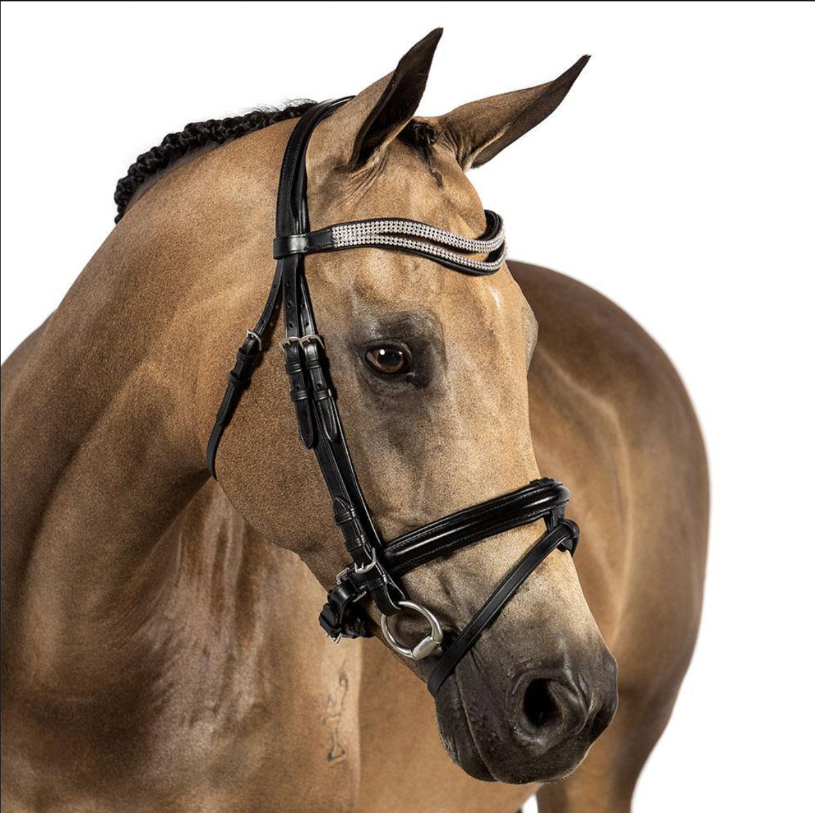 Black Snaffle Bridle 'Jubilant'