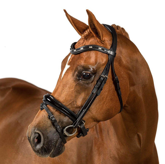 Premium Black Snaffle Bridle 'Astral'