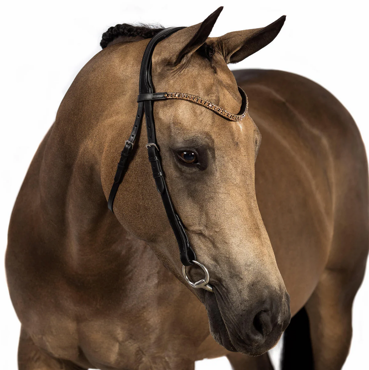 Black Nosebandless Bridle 'Orion'