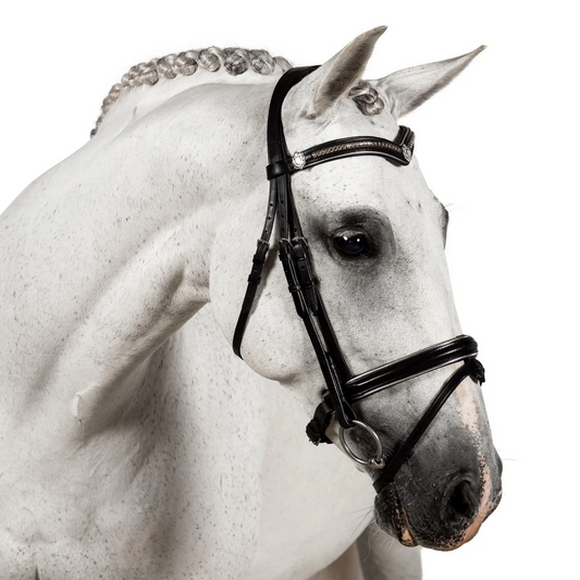 Premium Black Snaffle Bridle 'Athena'