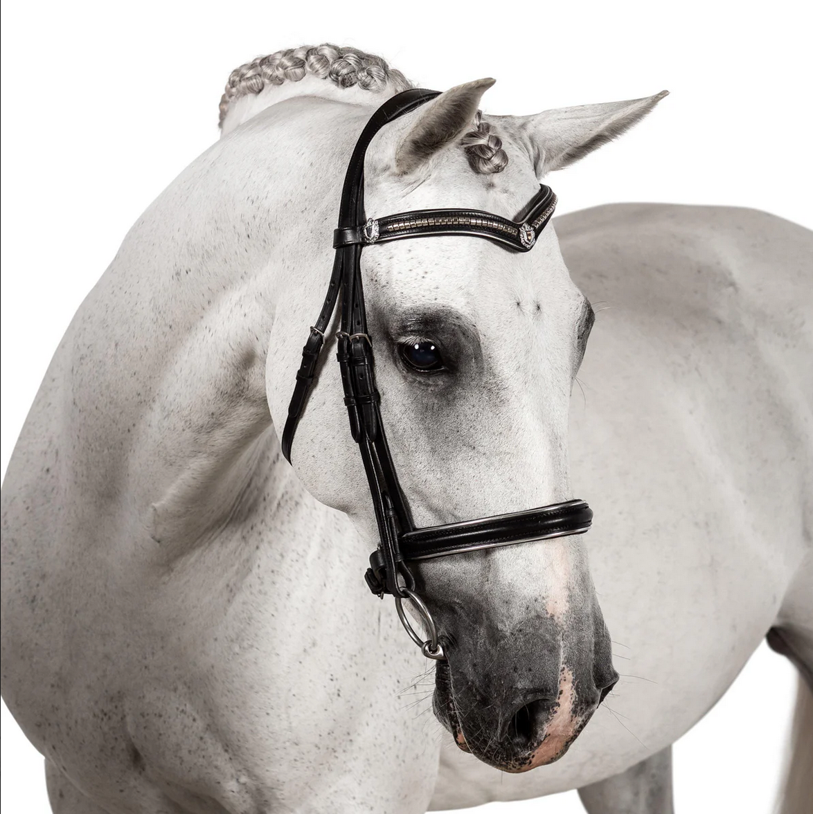 Premium Black Snaffle Bridle 'Athena'