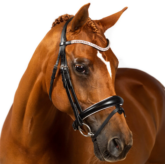 Premium Black Snaffle Bridle 'Devotion'