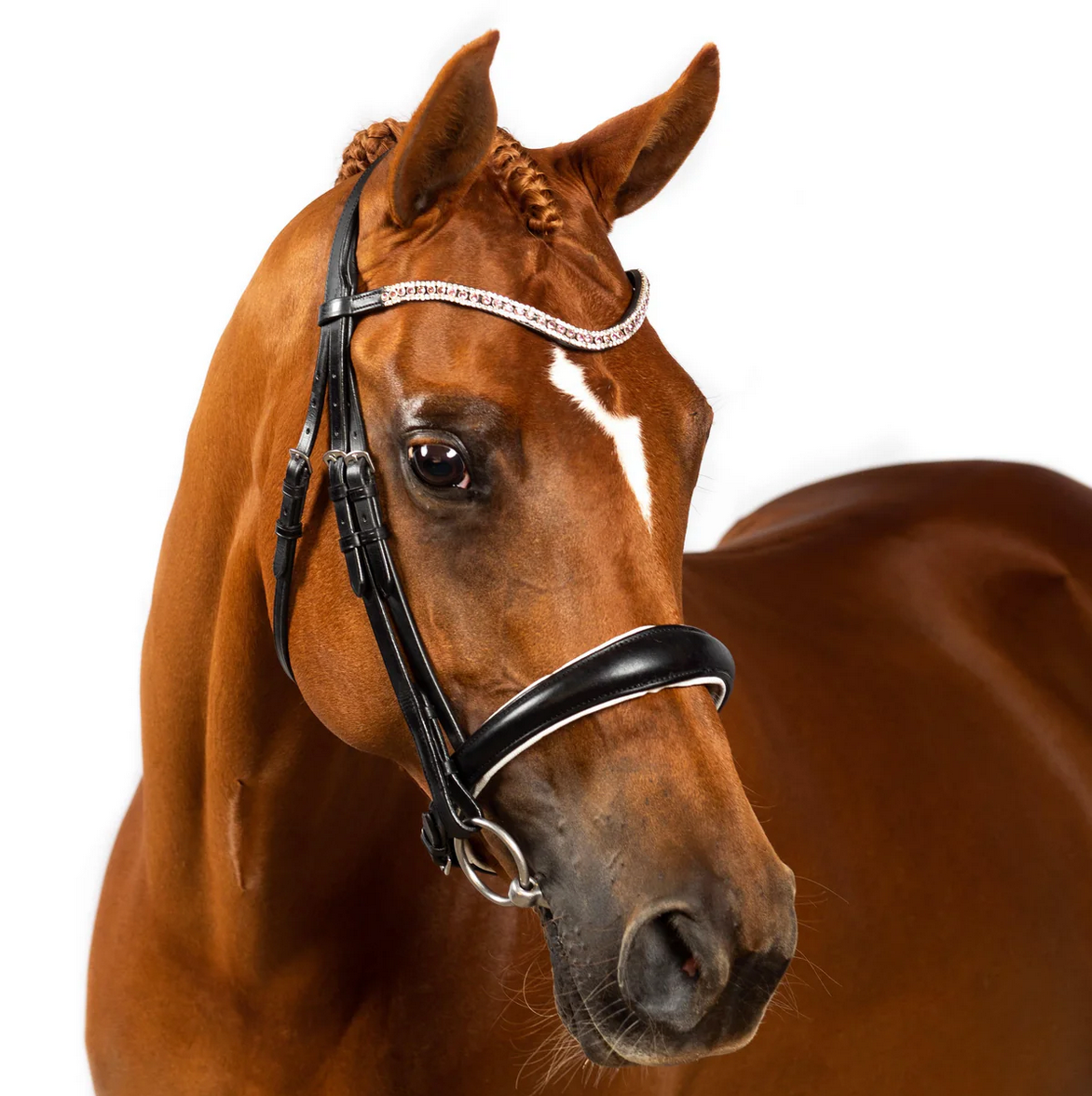 Premium Black Snaffle Bridle 'Devotion'