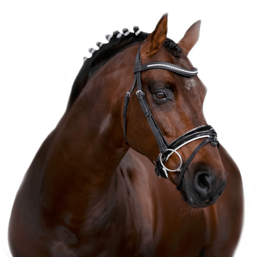 Premium Black Snaffle Bridle 'Ovation'