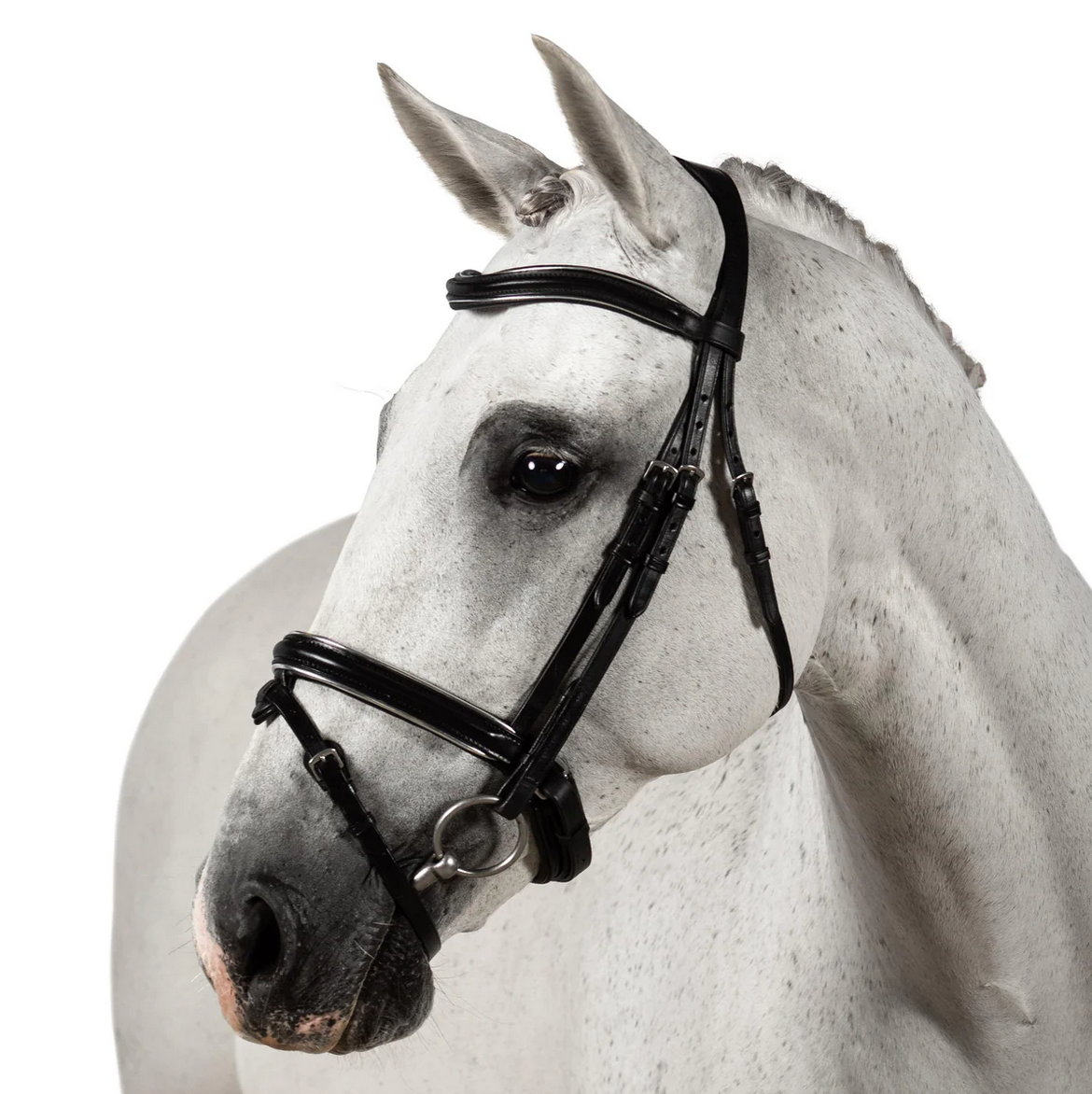 Premium Black Snaffle Bridle 'Senna'