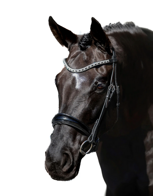 Premium Black Snaffle Bridle 'Eternity'