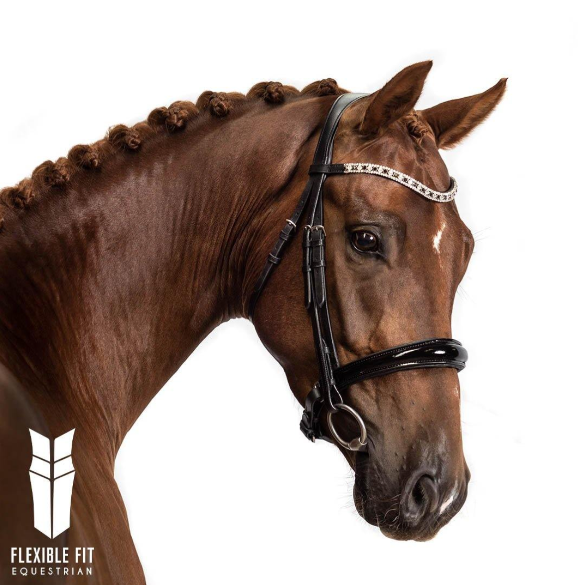 Premium Black Snaffle Bridle 'Eternity'