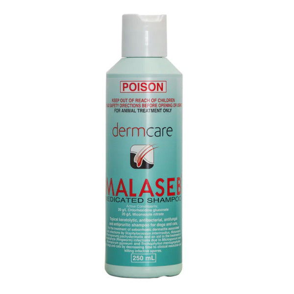 Dermcare Malaseba Medicated Shampoo bottle on a white background