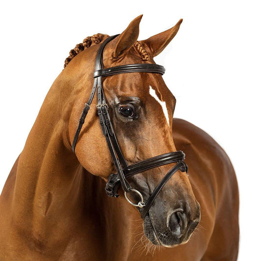 Premium Havana Snaffle Bridle 'Enchanted'
