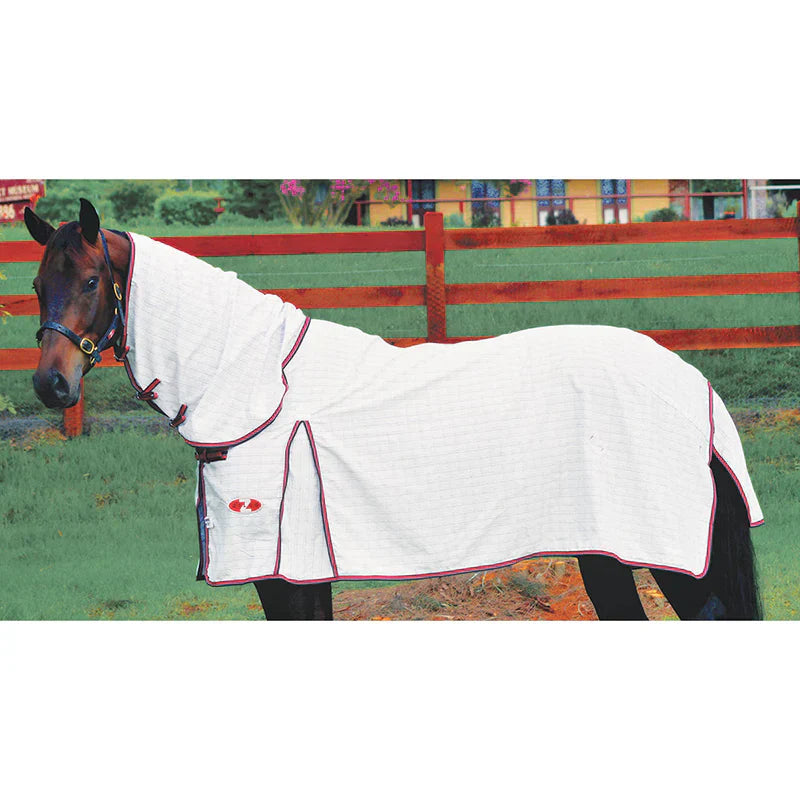 Beat the Heat: Summer Rugging Tips for Goulburn Horses