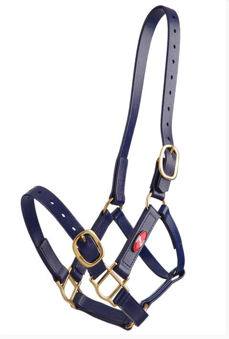 Halters + Leads