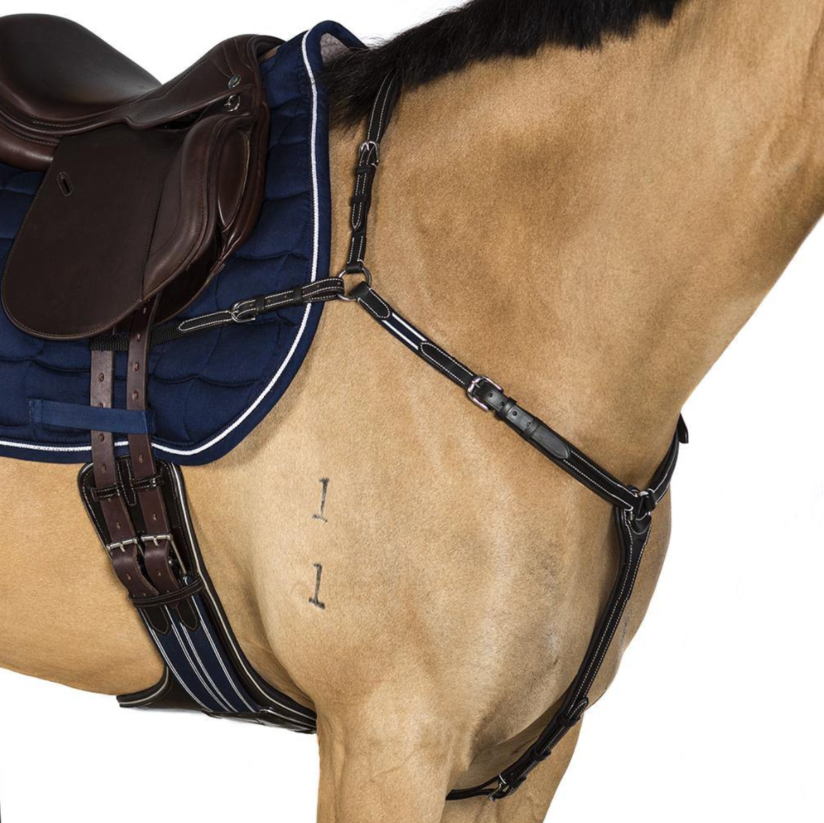 Breastplates & Martingales