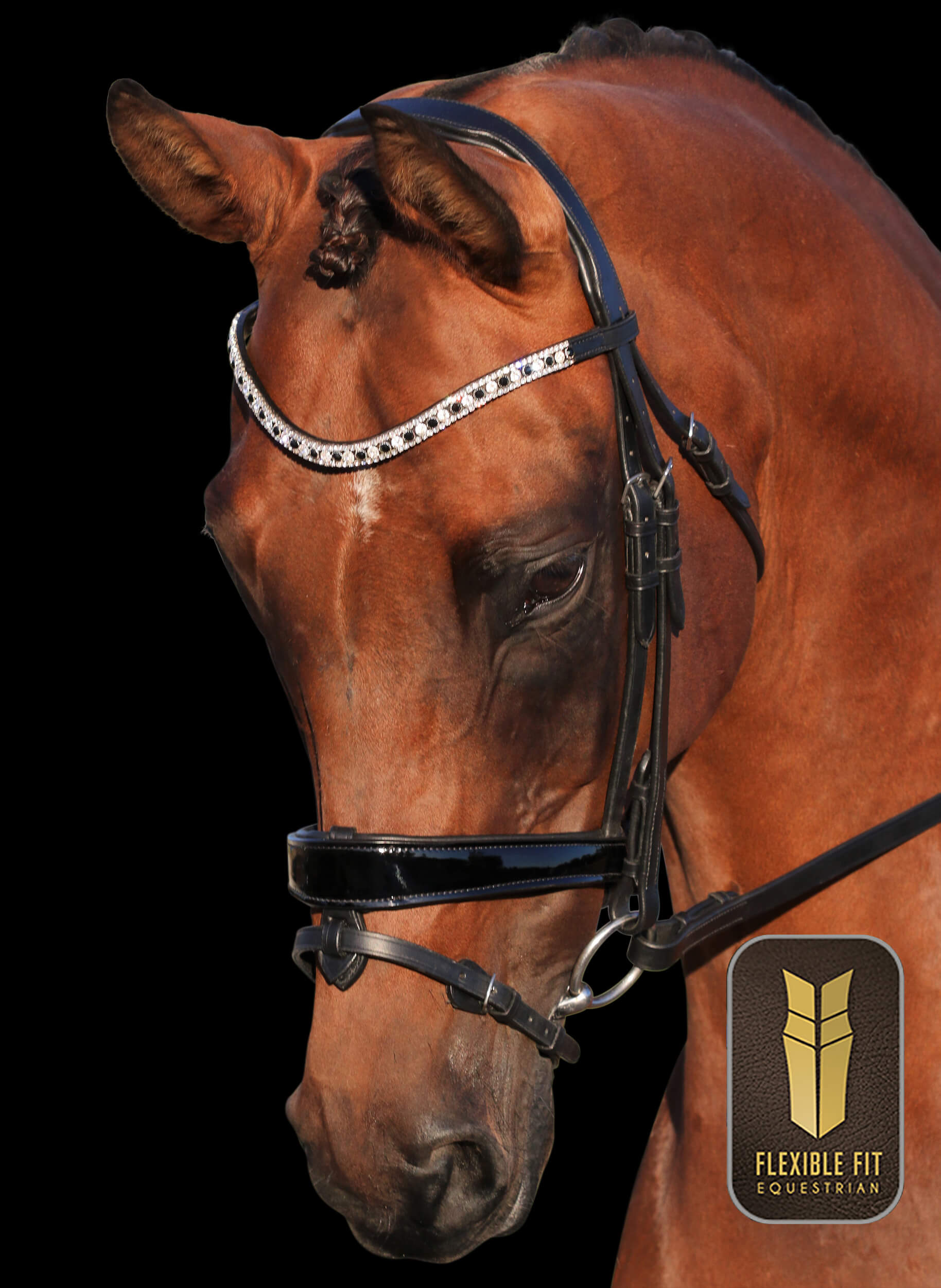 English Bridles & Reins