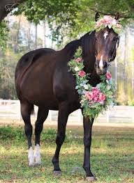 Sams Truck Essentials