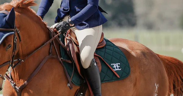 Equus Elite Saddle Pad (Hunter Green)