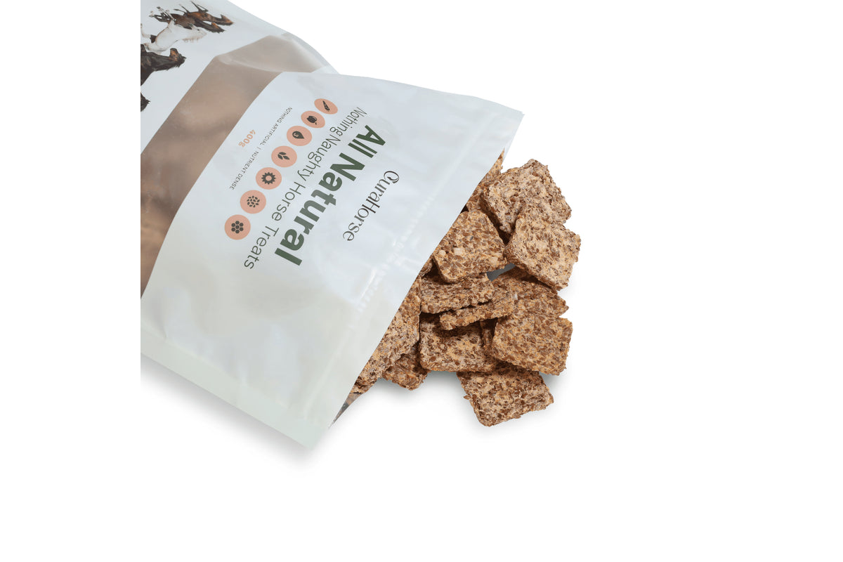 CURAHORSE NOTHING NAUGHTY HORSE TREATS 500G