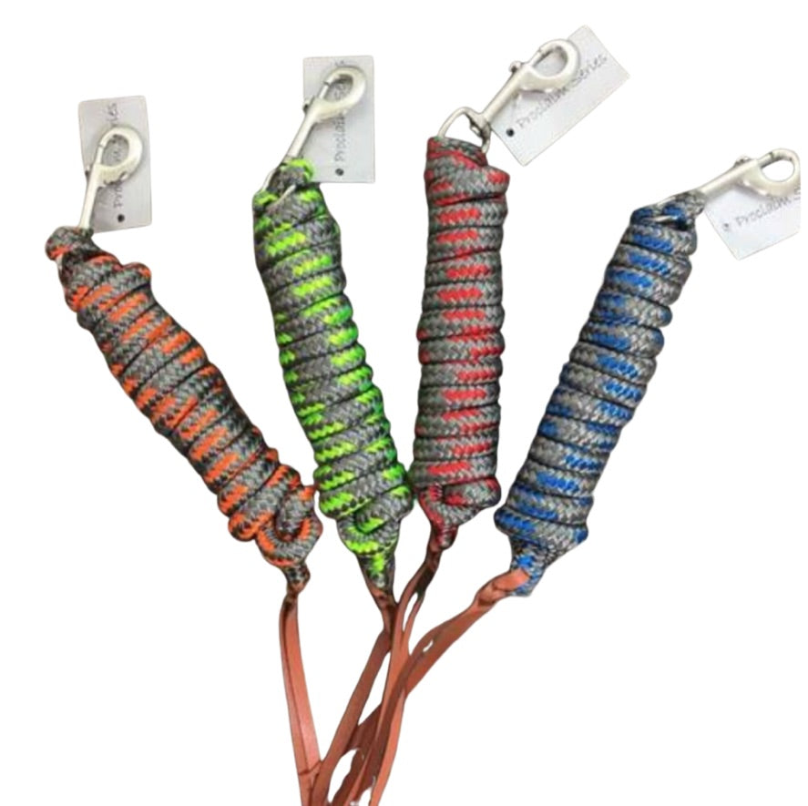 Exclusive Equine Proclaim Show Lead