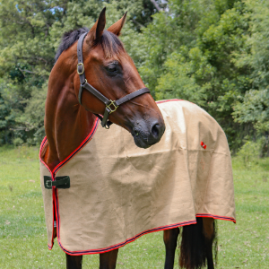 Jute Rug